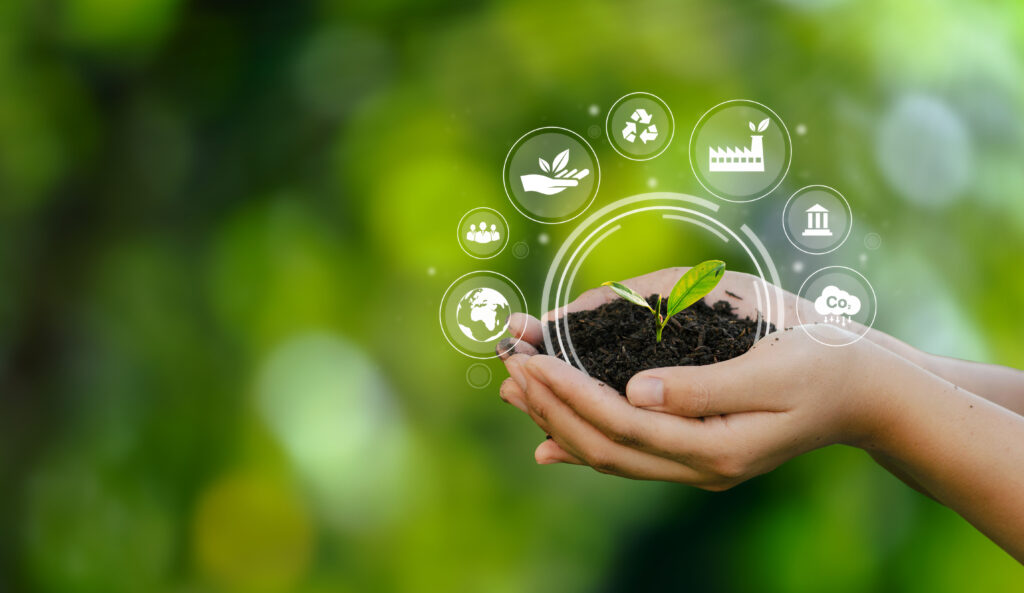 Human hand holding green environmental tree esg icon society and