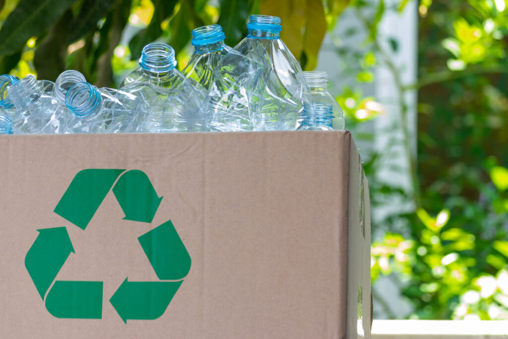 Plastic bottles into a box for recycling concept. world environm